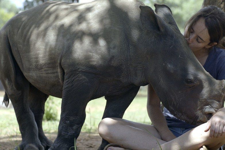 The Wild Ones: The Rhino Orphanage